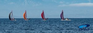 REGATA NAZIONALE 29ER Porto Pollo