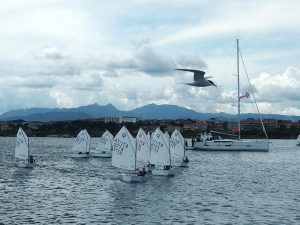 Selezione Zonale Classe Optimist 2024_A.s.d. Circolo Nautico Olbia